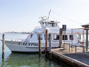 Motonave Calypso – foto 2